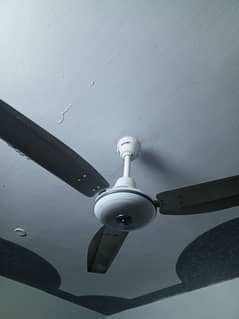 Royal Ceiling Fan 56" Like New Condition