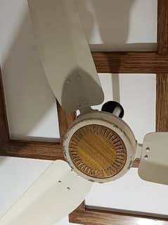 ceiling fan royal fan
