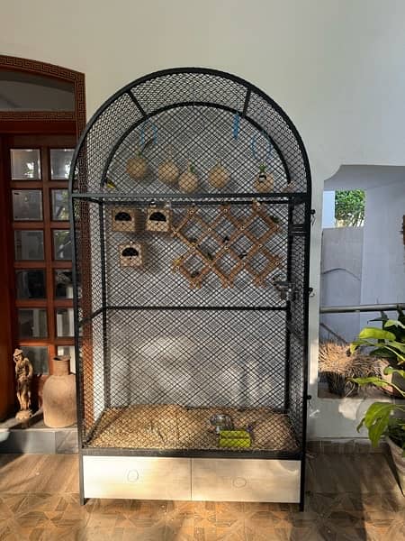 finches with cage 0