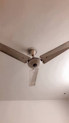 ceiling fan is available for sale