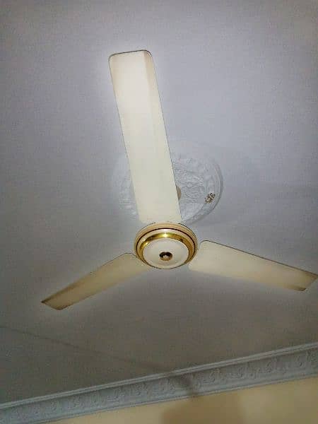 4 fan Ac only one pak fan one Rado fan one two wajid fan 9