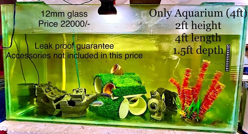 Fishes, Aquariums, Filters, Heaters (New and Used) for Sale. 8