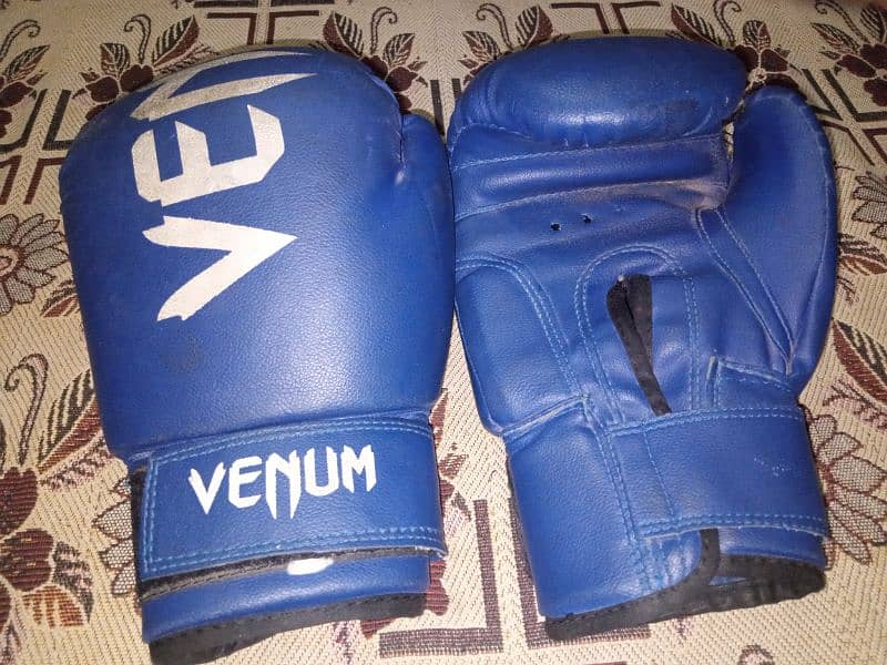 Venum punching/boxing gloves 0