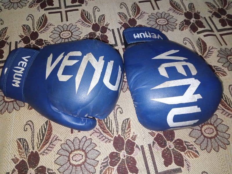 Venum punching/boxing gloves 1