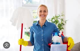 house cleaner needed