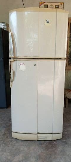 PEL Fridge for sell