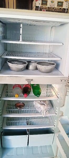 PEL Fridge for sell 3