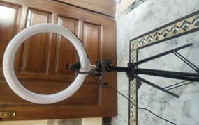 Ring light with stand