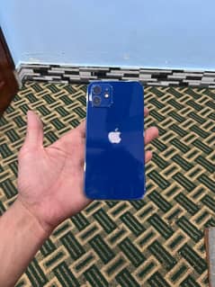 I phone 12 New Condition
