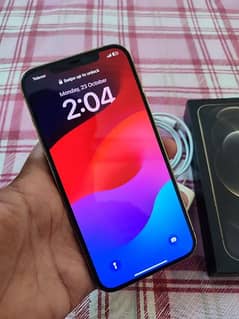 Iphone 12 Pro Max Gold 256GB (PTA Approved)