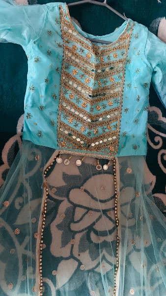 beautiful dress lengha with frill 0