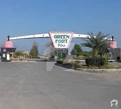 10 Marla Plot Available In Green Fort Plus In D Block Good Location 0