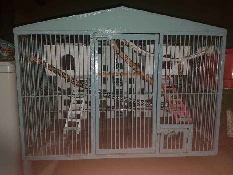 bird cage 3