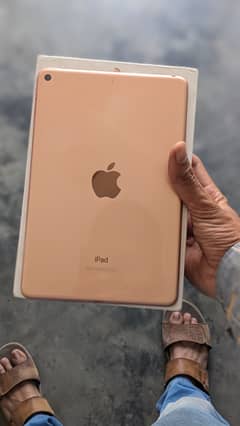 Ipad mini 5 lush condition 100% original with box  and charger