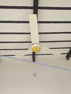 ceiling fan 220 volt ac