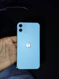 I phone 11 new mobile condition 10 by 10 256 GB