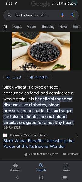 Black Wheat 6