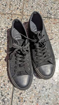 sprandi sneakers full black 0