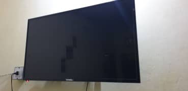 Orignal nobel 40 inch android led ips disply   price final
