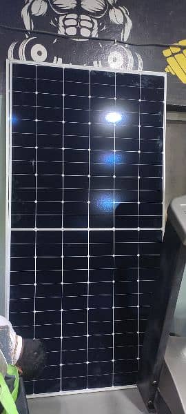 LONGI solar panels 1