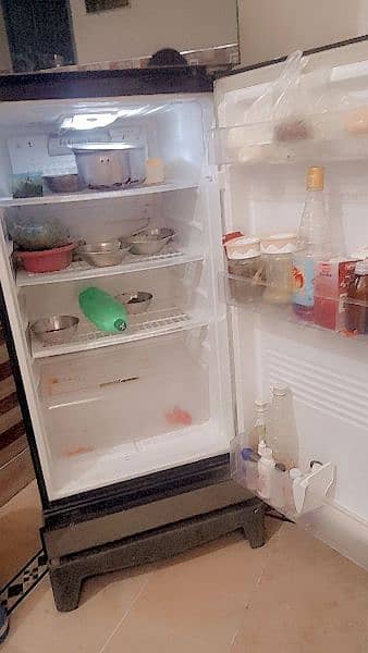 PEL single door fridge  in Good condition 2