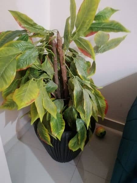 artificial plant with Pot in good condition 1