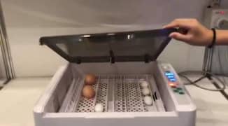 36 eggs incubator 0