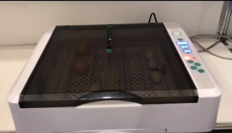 36 eggs incubator 1