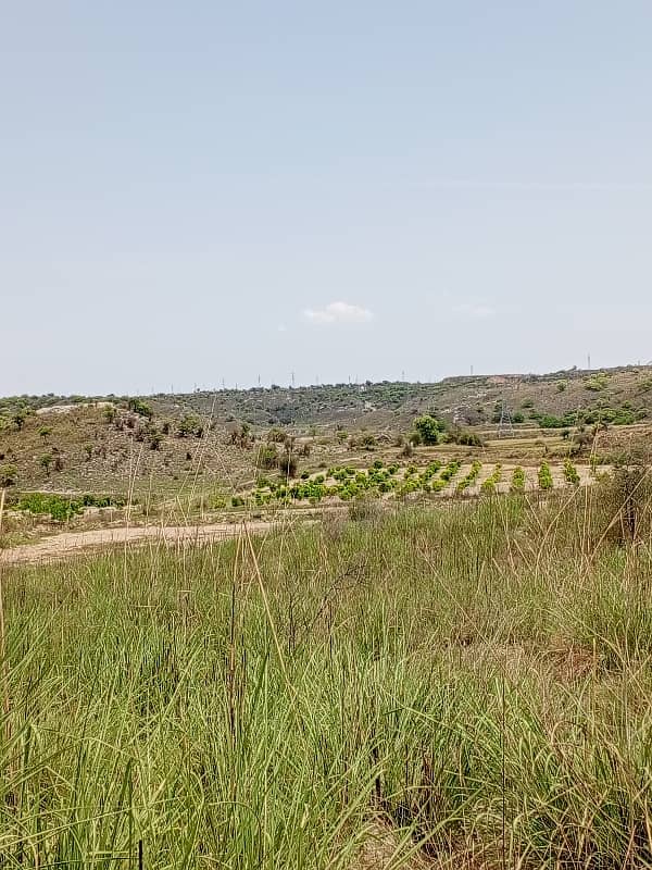 20 kanal farmhouse land for sale in balkasar chakwal 6
