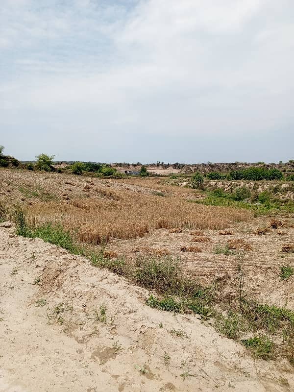 100 knal agriculture and farmhouse land for sale in balkasar chakwal 4