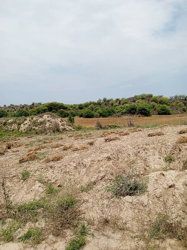 100 knal agriculture and farmhouse land for sale in balkasar chakwal 5
