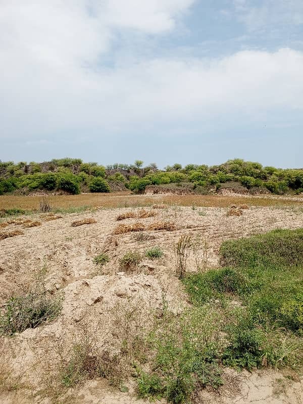 100 knal agriculture and farmhouse land for sale in balkasar chakwal 6