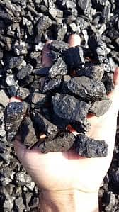 Coal imported and local we deal in 2
