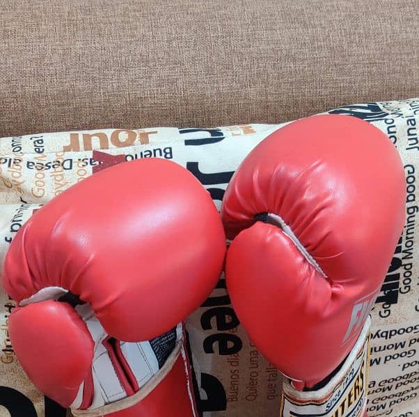 Boxing Gloves 1