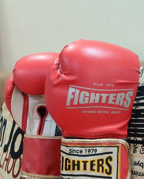 Boxing Gloves 2