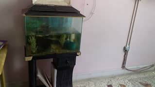 selling fish aquarium with fish and bubble maxhine ,decoration piece