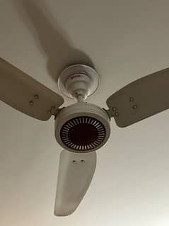 Royal ceiling fan 0