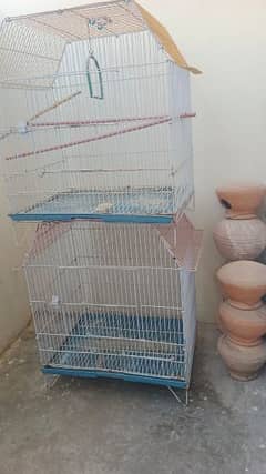 birds cage 0