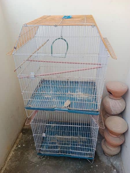 birds cage 4