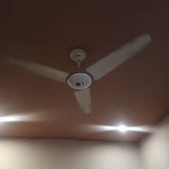 i want sell my wahid 56" fan in good condition