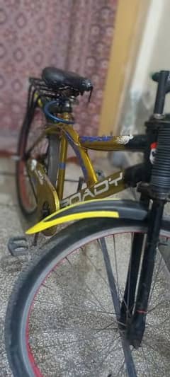 Roady bicycle for sale