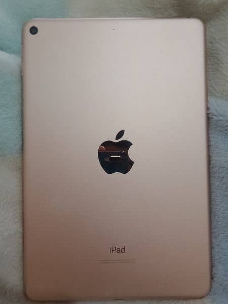 iPad mini 5 4/64 5000mah battery WiFi (03485818987) wathapps 3