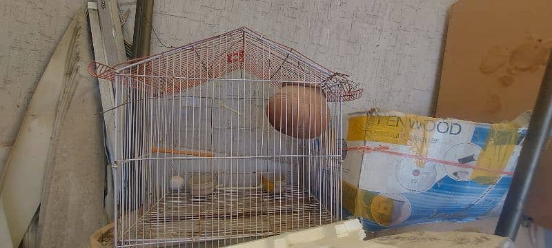 Bird cage 1