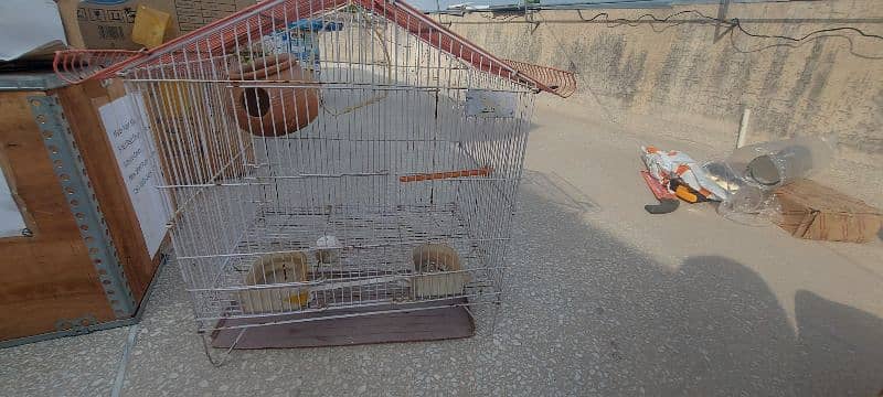 Bird cage 3