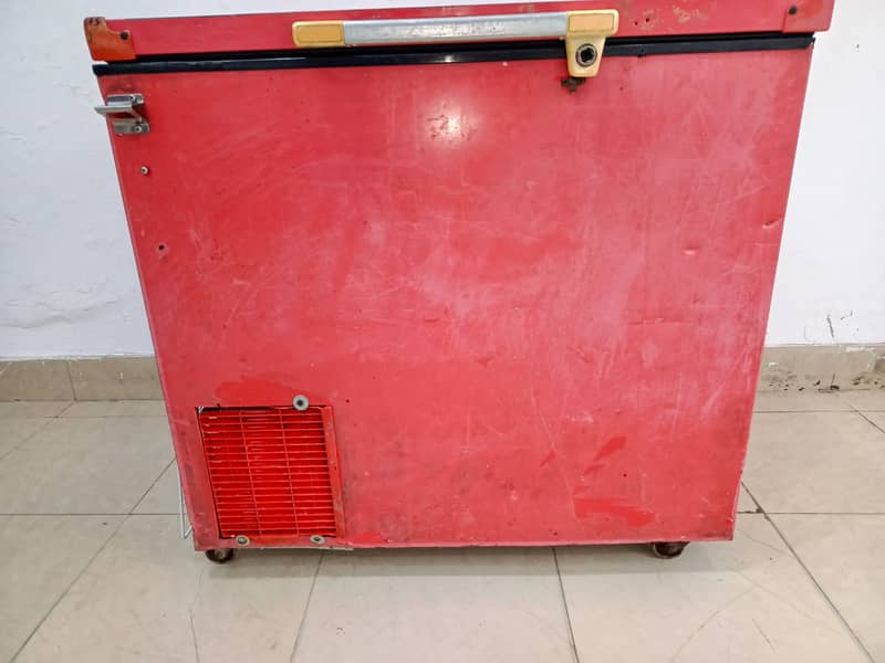 Red D freezer Singel door (0306=4462/443) fitoo settt 4
