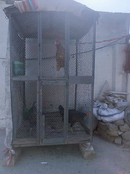 heans and cage for sale. Murgiyan 6 hazr ki aur pingra 10 hazar ka 14