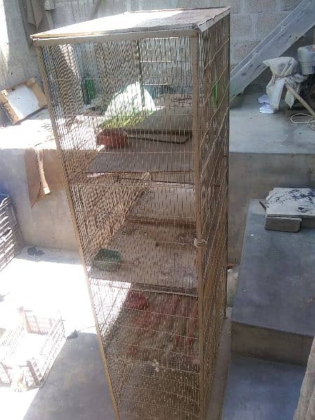 cage in parrot 3