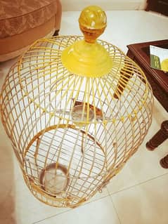 cage for sale macaw or parrots 0
