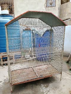 birds used cages for sale