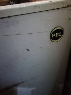 Pel Deep freezr bug size single Door